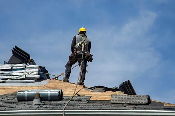 Professional Gutter Installation technician working in Darien, GA
